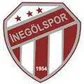 Inegolspor'