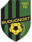 FK Buducnost