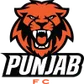 Minerva Punjab