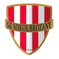Sokol Brozany