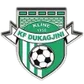 KF Dukagjini