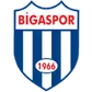 Bigaspor