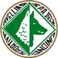 Avellino