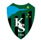 Kocaelispor'