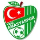 Yeni Amasya Spor'