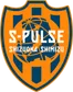 Shimizu S Pulse