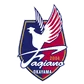 Fagiano Okayama